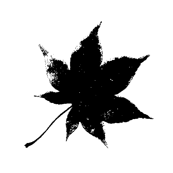 mono-b
